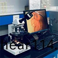 環保技術咨詢服務