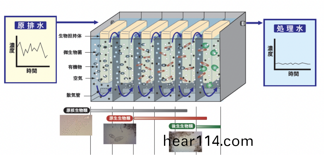 高鹽廢水生化技術
